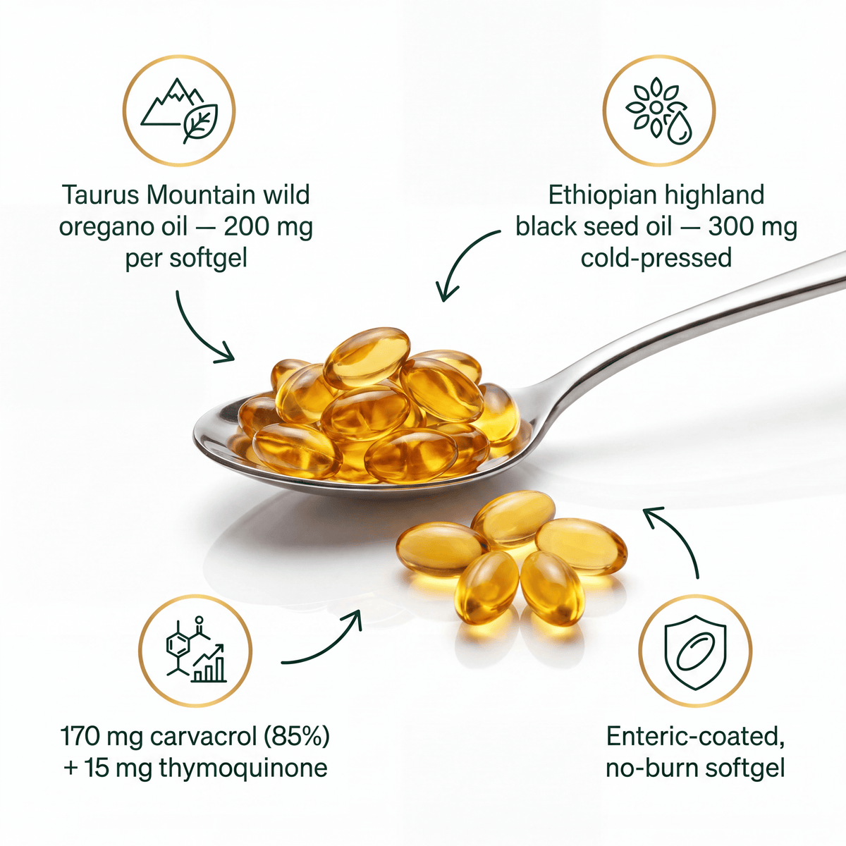 Virella® Oregano Oil + Black Seed Oil Softgels