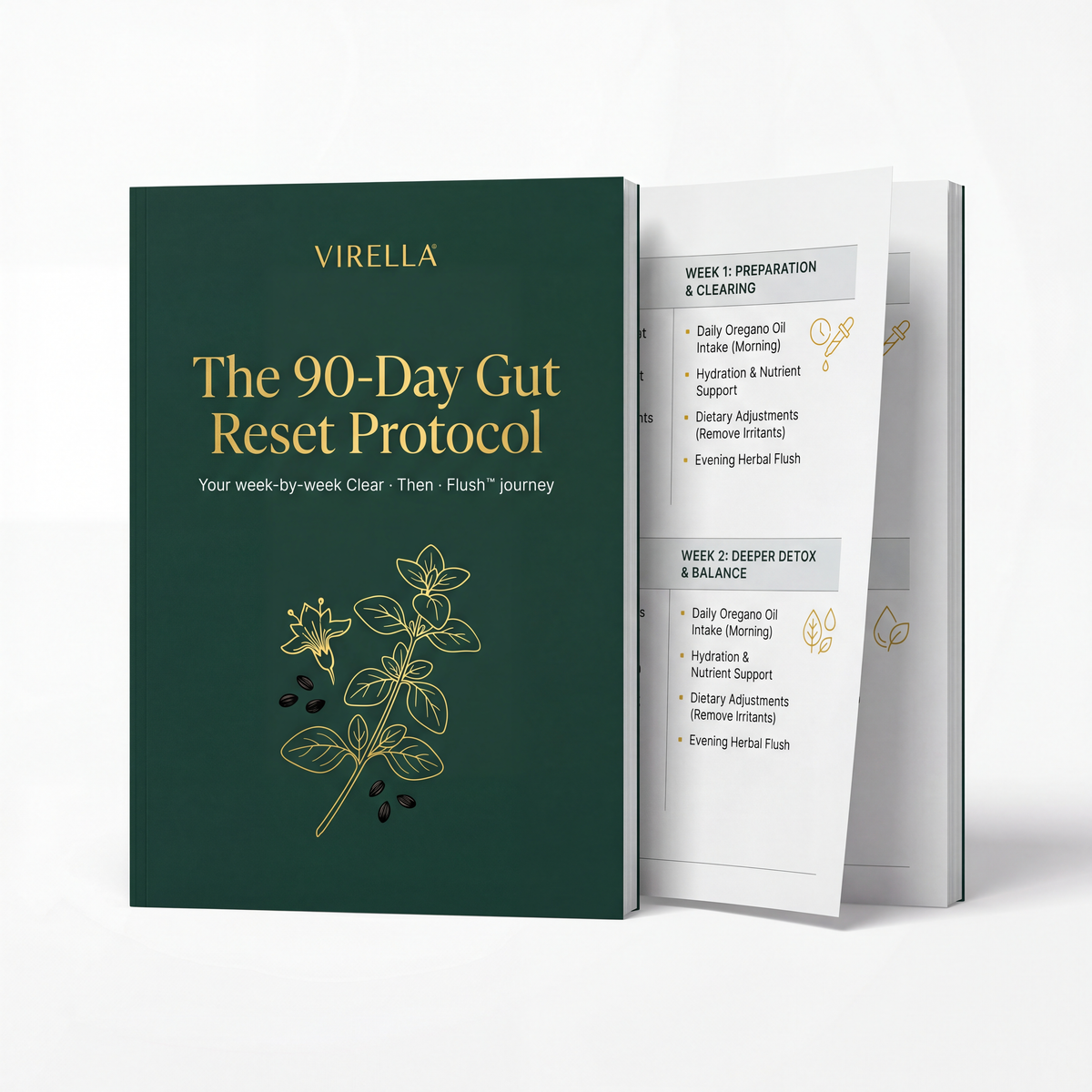 The 90-Day Gut Reset Protocol